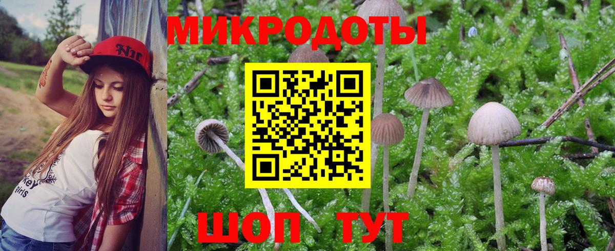 Галлюциногенные грибы GOLDEN TEACHER  Псилоцибиновые грибы Magic Shrooms  Казань  Вход с VPN 